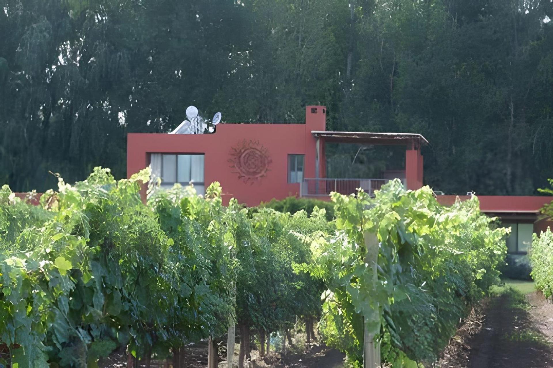 Finca Ogawa Los Sauces  Bagian luar foto