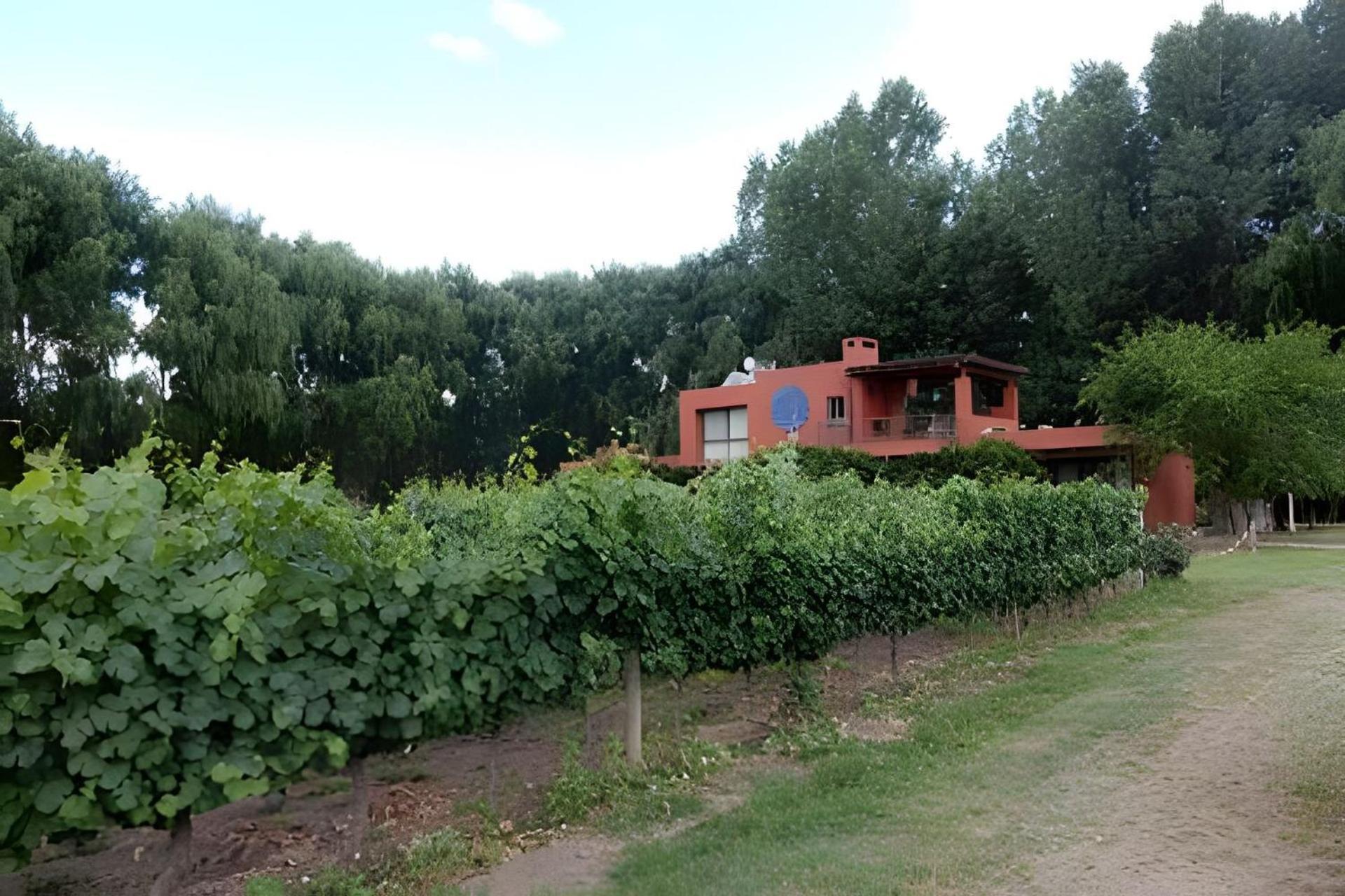Finca Ogawa Los Sauces  Bagian luar foto