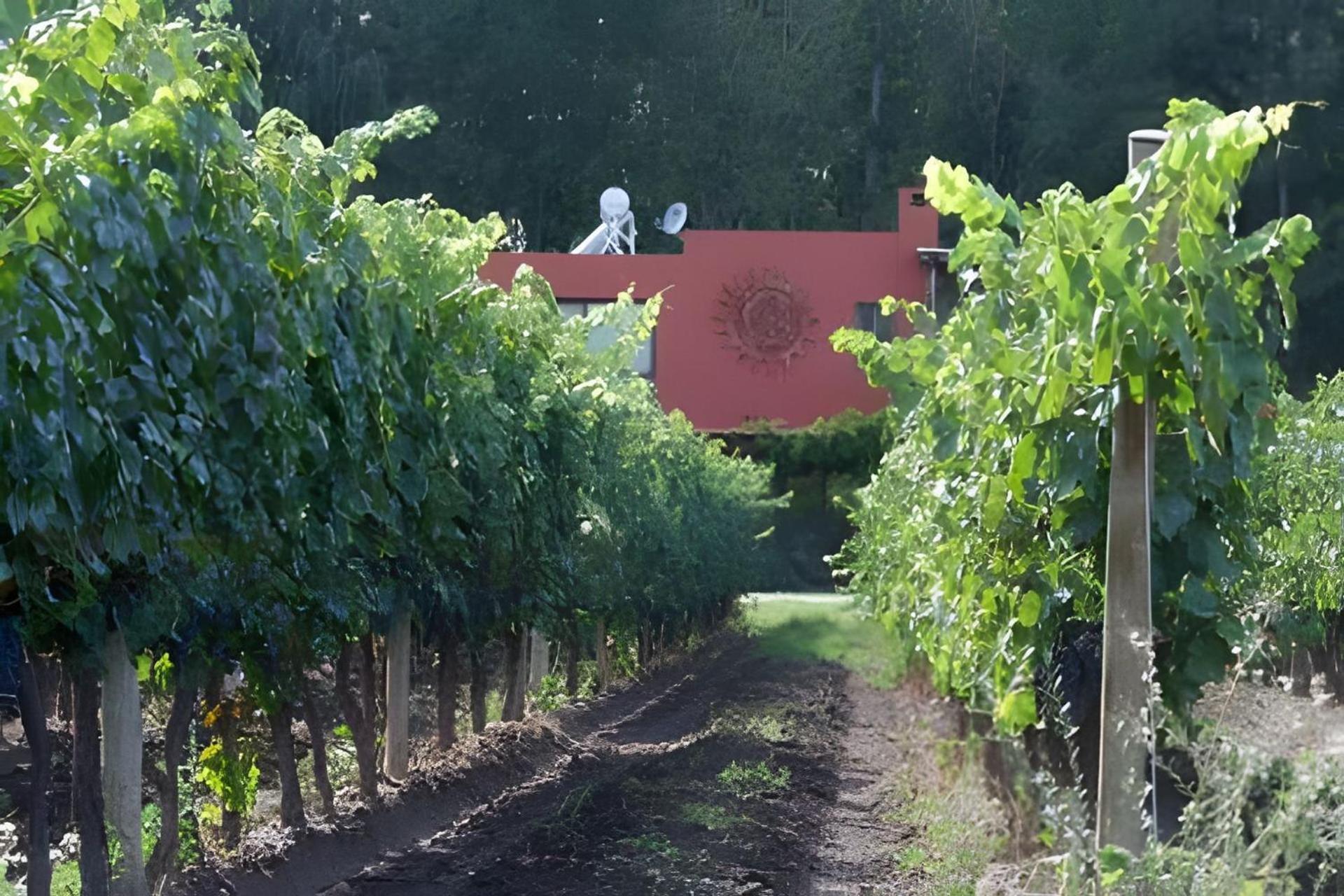 Finca Ogawa Los Sauces  Bagian luar foto